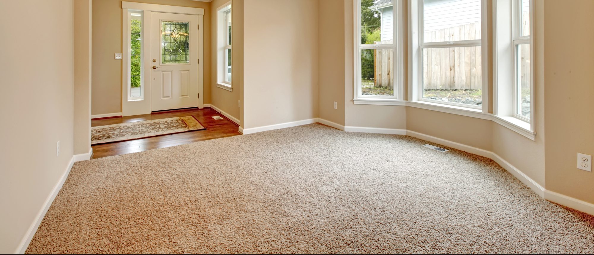 Carpet Cleaning